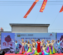 文化搭台  经济唱戏：山东临沂白沙埠镇举办2020年洋葱文化节